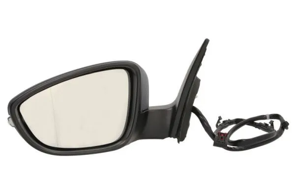 Exterior Mirror (5402-01-2002593P)