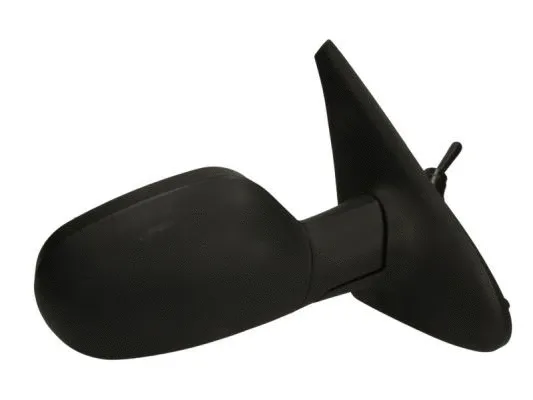 Exterior Mirror (5402-04-1115221P)