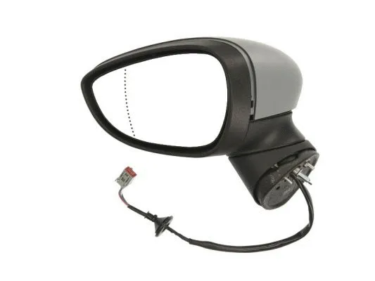 Exterior Mirror (5402-04-1111392P)