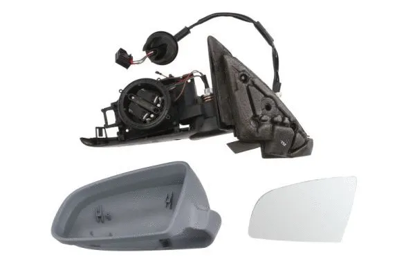 Exterior Mirror (5402-04-1139595)