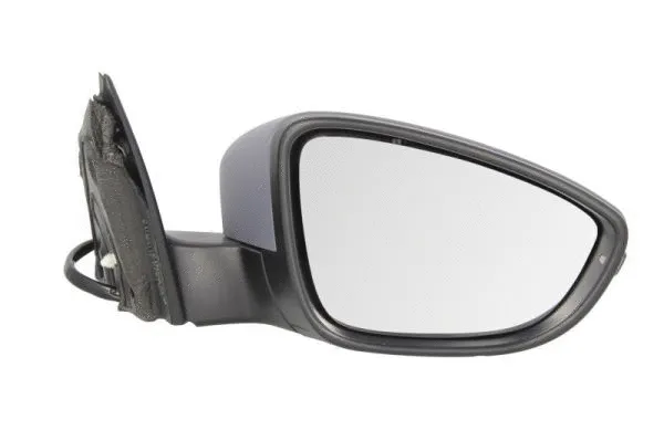 Exterior Mirror (5402-01-2002674P)