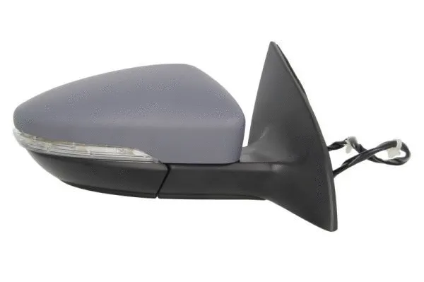 Exterior Mirror