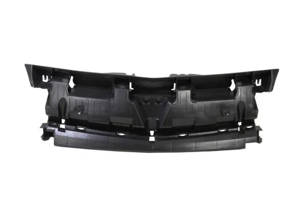 Radiator Grille (6502-07-6011210P)