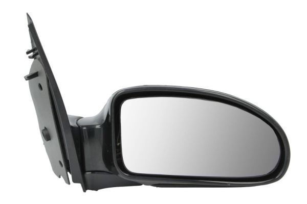 Exterior Mirror (5402-04-1129399)