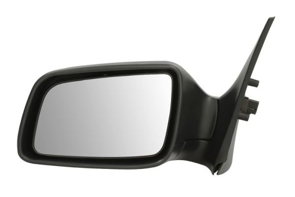 Exterior Mirror (5402-04-1125240P)
