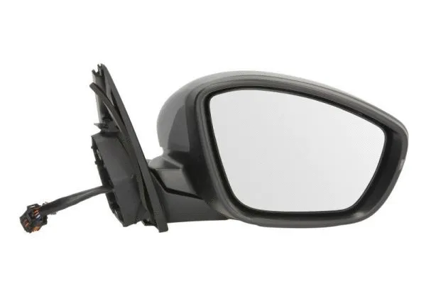Exterior Mirror (5402-08-2002088P)