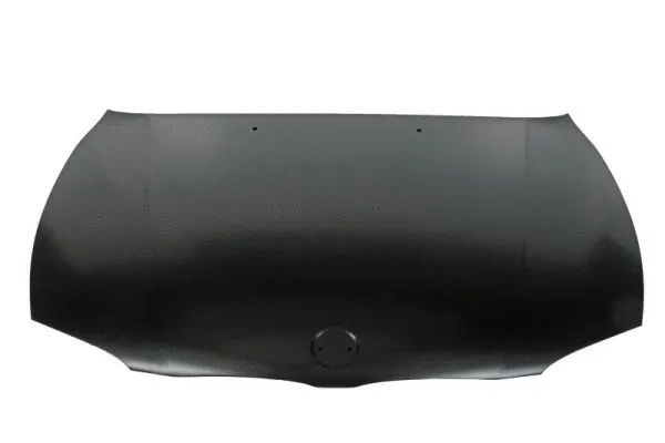 Bonnet (6803-00-0085280P)