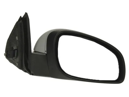 Exterior Mirror (5402-04-1139226P)