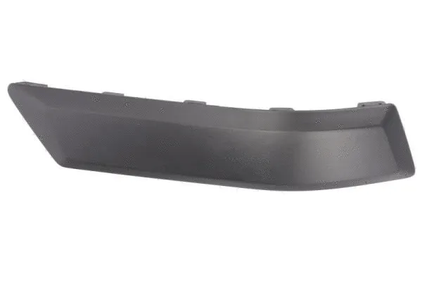 Trim/Protection Strip, bumper (5703-05-2576975P)