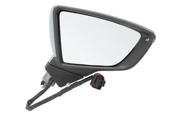 Exterior Mirror (5402-10-2002304P)