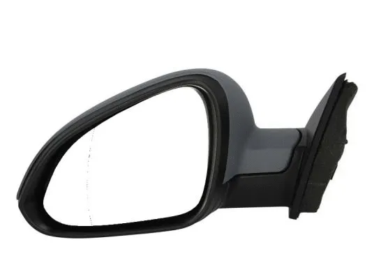 Exterior Mirror (5402-04-1139222P)