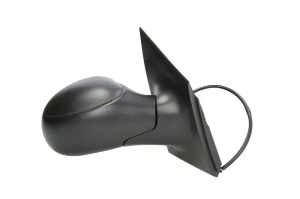 Exterior Mirror (5402-04-1128853)