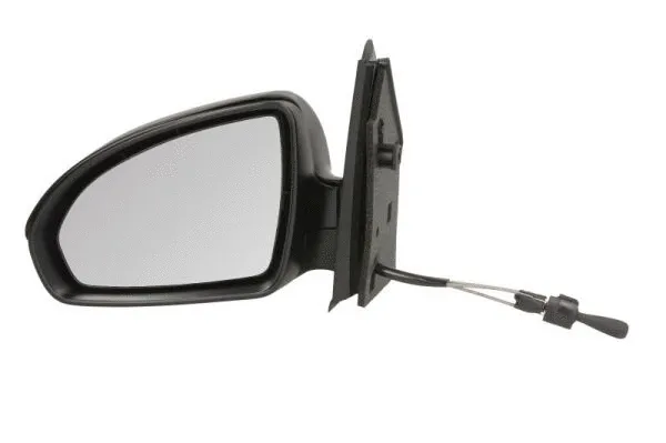 Exterior Mirror (5402-02-2002379P)