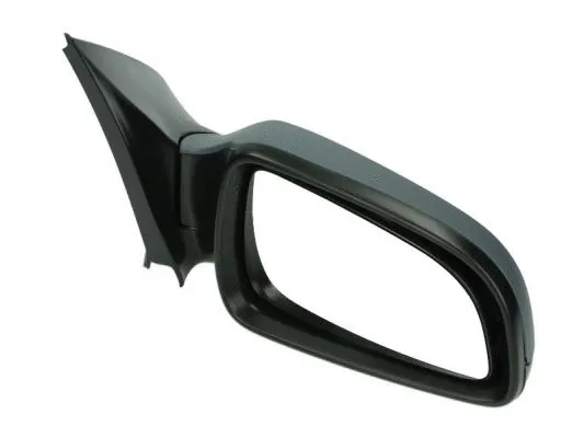 Exterior Mirror (5402-04-1129235P)
