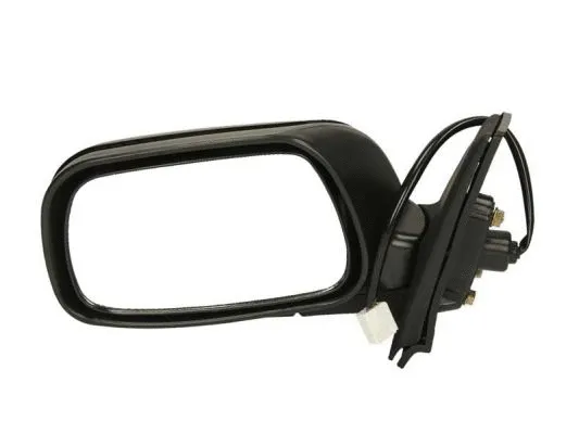 Exterior Mirror (5402-04-1139212P)