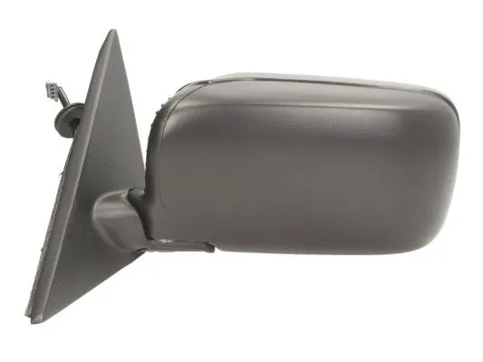 Exterior Mirror (5402-04-1125290)