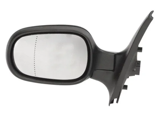 Exterior Mirror (5402-04-1139173P)