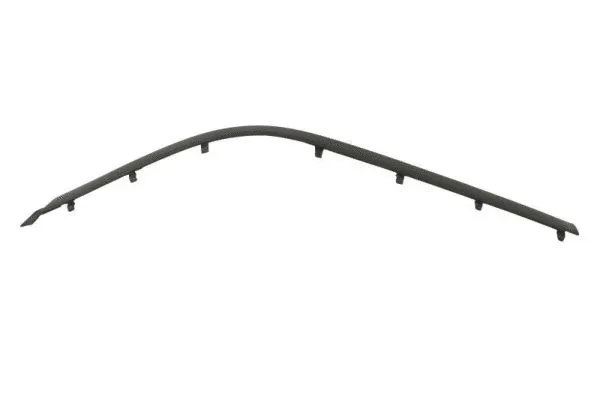 Trim/Protection Strip, bumper