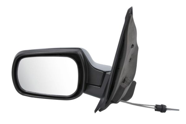Exterior Mirror (5402-04-1137387)