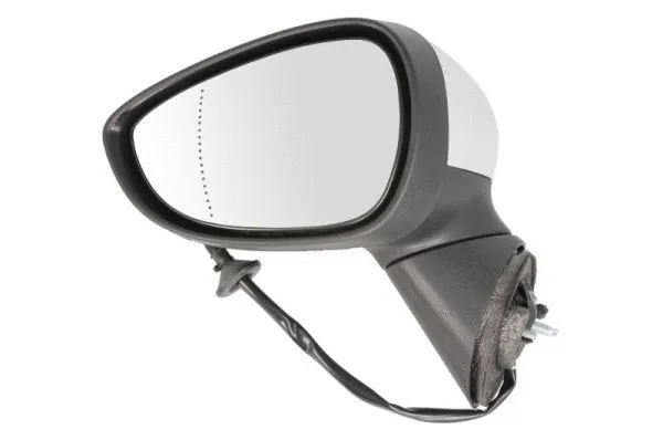 Exterior Mirror (5402-03-2001179P)