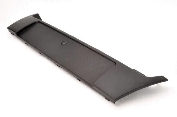 Licence Plate Holder