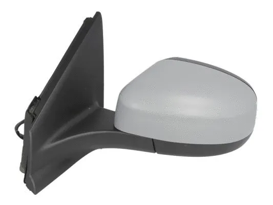 Exterior Mirror (5402-04-1121613P)