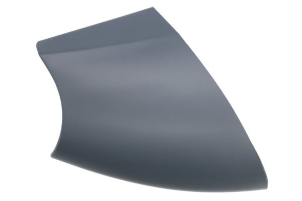 Housing, exterior mirror (6103-01-1321233P)