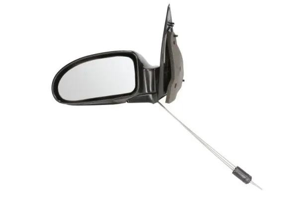 Exterior Mirror (5402-04-1112399P)
