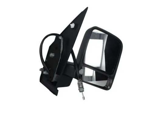 Exterior Mirror (5402-04-9215399)