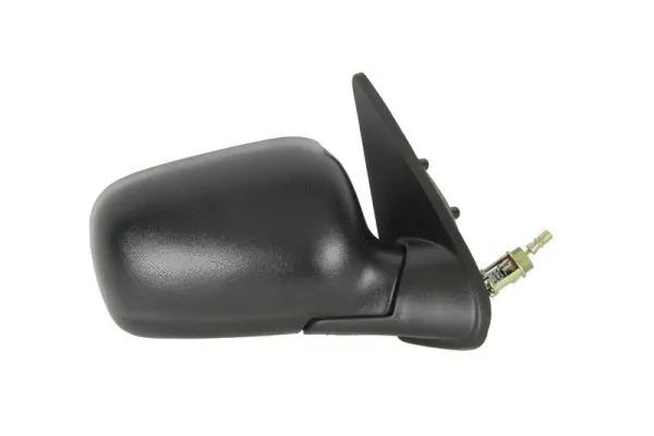 Exterior Mirror (5402-04-1115529P)