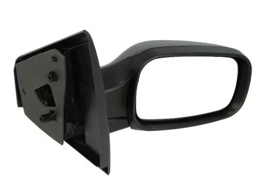 Exterior Mirror (5402-04-1122175P)