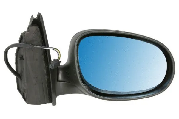Exterior Mirror (5402-04-1129518)