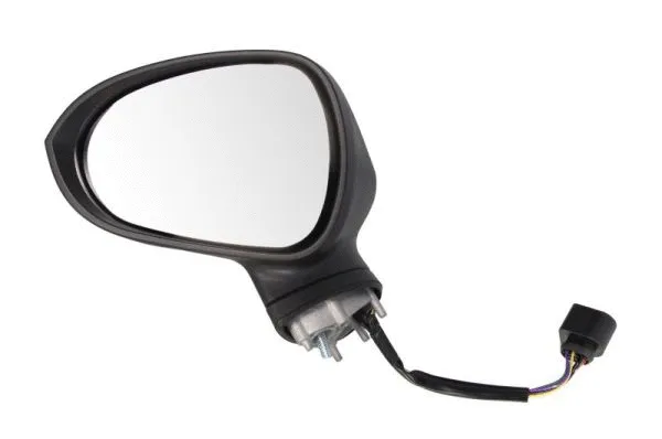 Exterior Mirror (5402-10-2002297P)