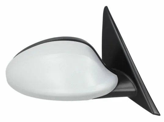 Exterior Mirror (5402-04-1192520)