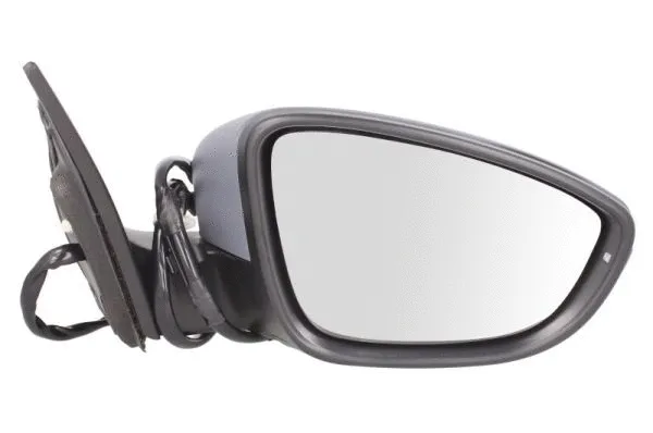 Exterior Mirror (5402-01-2002594P)