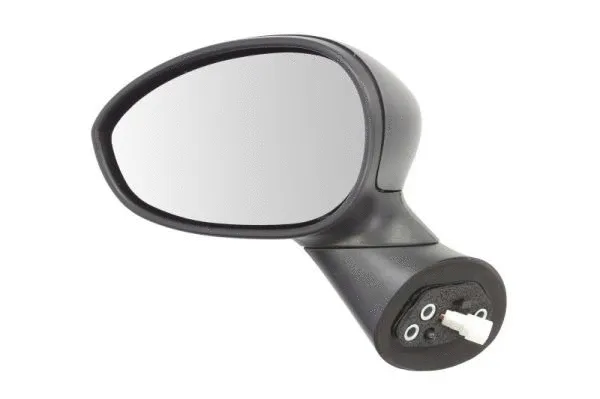 Exterior Mirror (5402-04-1125933)