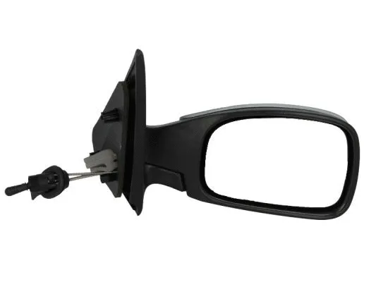 Exterior Mirror (5402-04-1115284P)