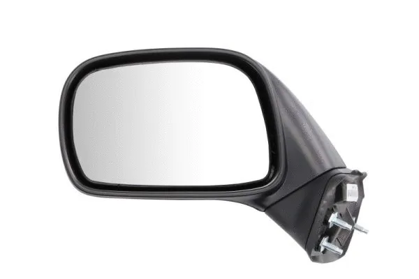 Exterior Mirror (5402-04-1191227P)