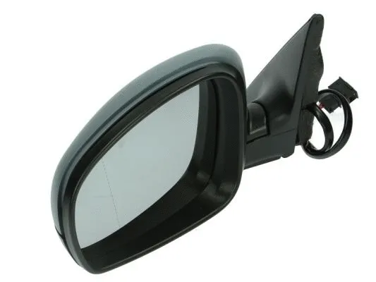 Exterior Mirror (5402-04-1139559P)