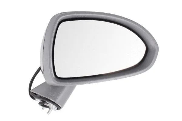 Exterior Mirror (5402-04-2001990P)