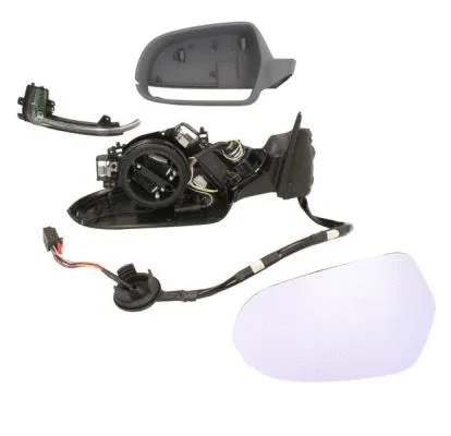 Exterior Mirror (5402-25-048365P)
