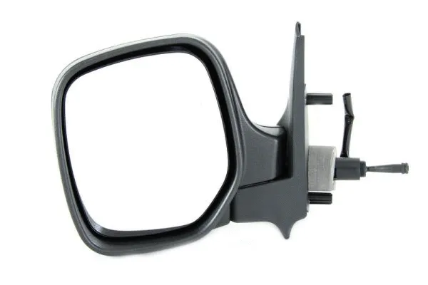Exterior Mirror (5402-04-9253972)