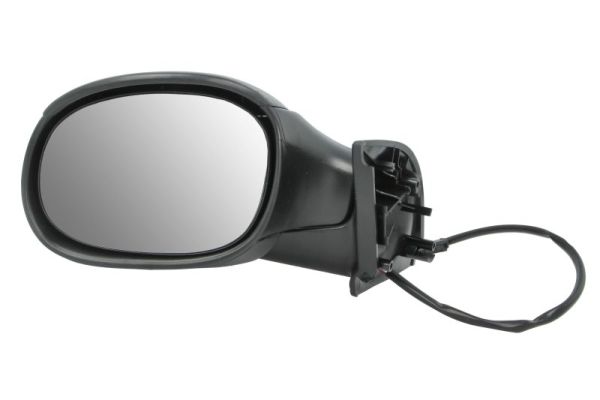 Exterior Mirror (5402-04-1125851)