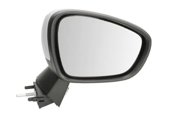 Exterior Mirror (5402-21-042362P)