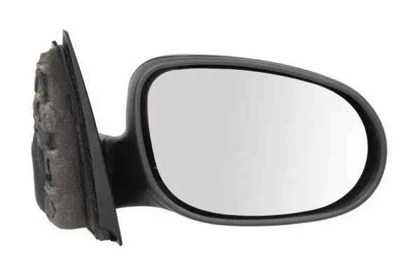 Exterior Mirror (5402-23-2001590P)