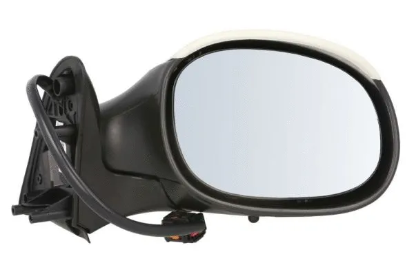 Exterior Mirror (5402-04-1112339P)