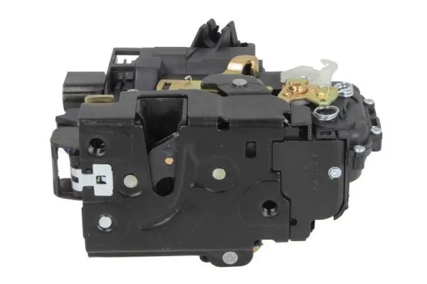 Door Lock (6010-01-020422P)