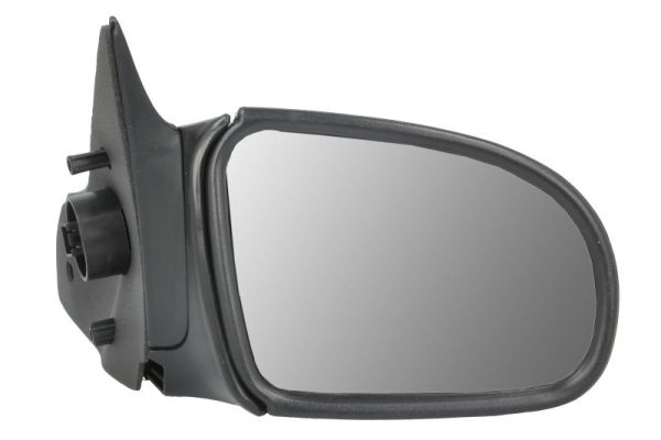 Exterior Mirror (5402-04-1121217P)