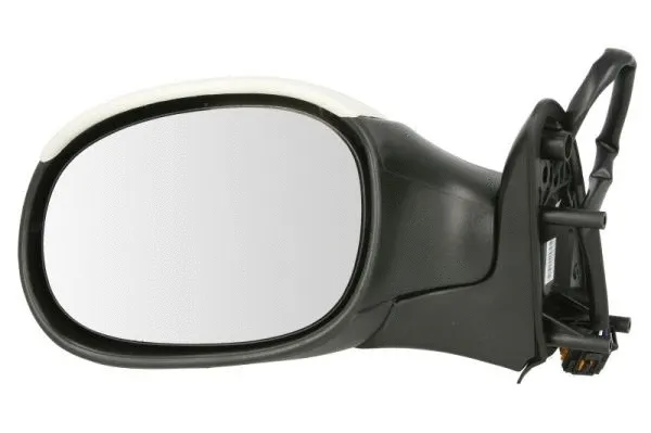 Exterior Mirror (5402-04-1111339P)