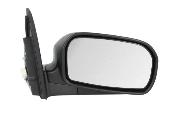 Exterior Mirror (5402-04-1221925P)